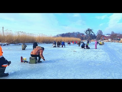 Видео: РЫБА ПОШЛА ТОЛПА ПРИШЛА!