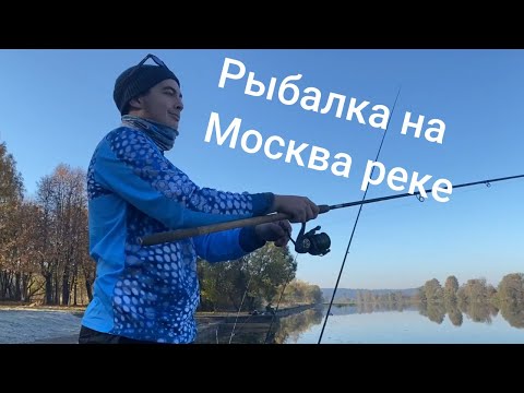 Видео: Фидерная рыбалка на верхней Москва реке