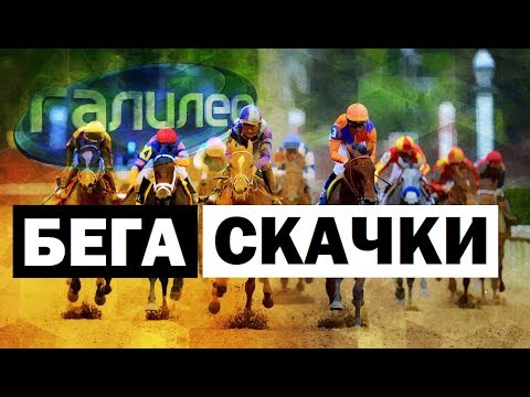 Видео: Галилео | Бега и скачки 🐎 Race and runs