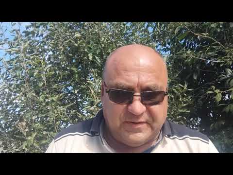Видео: Эх! Если бы не Трамп))))