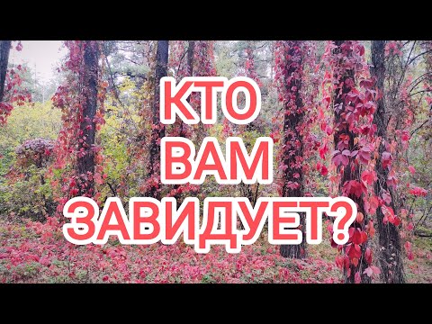 Видео: 🍀без камней🍀КТО ВАМ ЗАВИДУЕТ?  