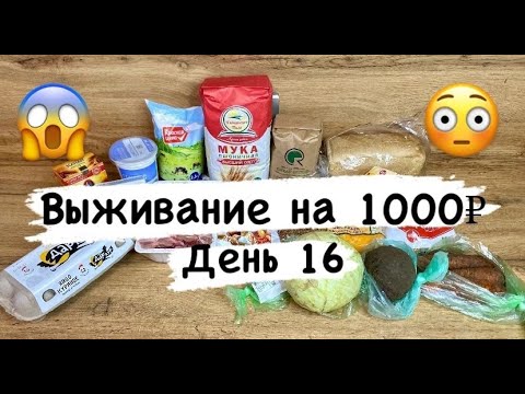 Видео: Живу на 1000 рублей! День 16. Экономны рецепты. Выживание.