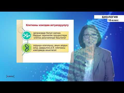 Видео: 10 класс - КГ - Биология - №2 - Цитология илими