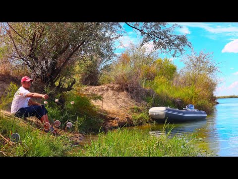 Видео: РЫБАЛКА НА ЗАКИДУШКИ! На реке Или! ПОЙМАЛ ТРОФЕЯ! Отличный клёв Сазана, Амура. Рыбалка июль 2022
