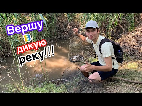Видео: Поставил вершу в дикую реку!!! Испытание хлеба, как приманки на рыбу!!!