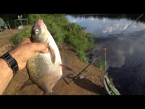 Видео: Срочно на рыбалку. Сегодня день большого улова.
