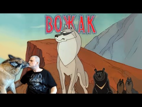 Видео: Чем отличается вожак от доминанта / Иерархия / Собаки / Кинология / Зоопсихология