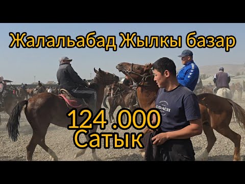 Видео: Бүгүн 27 сентября 2025 Жалальабад жылкы базар #атбазар #жылкыбазар 