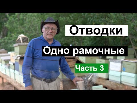 Видео: Пасека #121 Одно рамочные ОТВОДКИ , Матки,Маточники,Мёд и Пчелы / Пчеловодство для начинающих