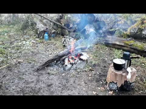 Видео: Поехали за шишкой в тайгу. Шишкуем в приморье. Отдых в лесу. Красота Приморского края