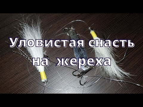 Видео: Снасть на жереха. Самый убойный монтаж для ловли ЖЕРЕХА