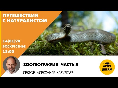 Видео: Детский эфир "Зоогеография. Часть 5" рубрики "Путешествия с натуралистом" с Александром Хабургаевым