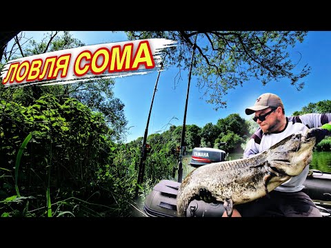 Видео: ЭМОЦИИ зашкаливают, не ожидали такой рыбалки.