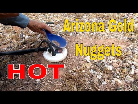 Видео: Раннее утро в Аризоне: поиск золотых самородков