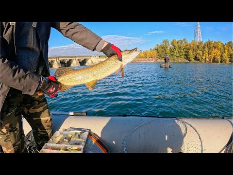 Видео: Замечательная рыбалка с лодки и много щук!!!