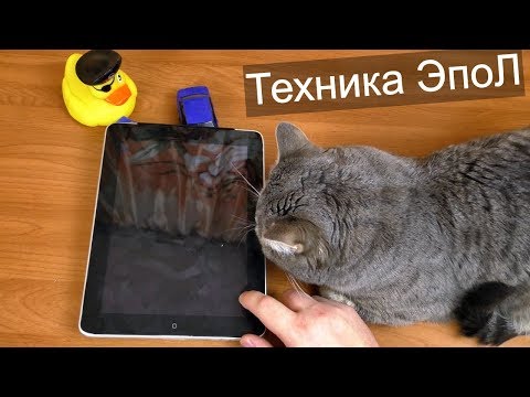 Видео: iPad за 300 и iPhone 5S за 500 рублей / Покупки на блошинке #5