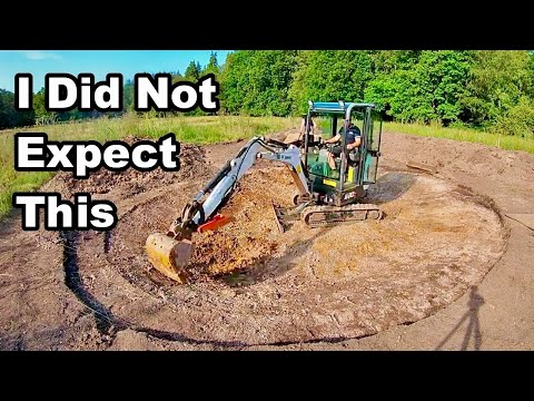 Видео: Я построил пруд для диких животных на лугу с полевыми цветами, и вот что произошло