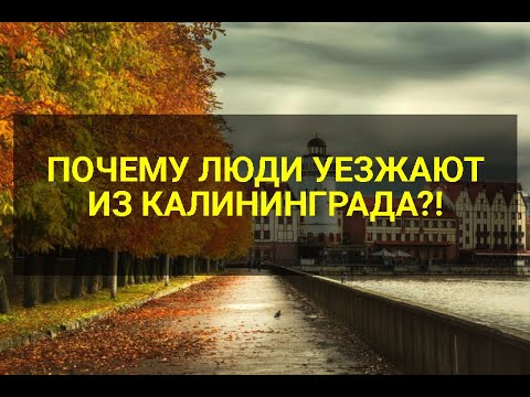 Видео: ЛЮДИ УЕЗЖАЮТ ИЗ КАЛИНИНГРАДА