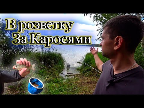 Видео: За Карасем на Торбеево озеро!!! Рыбалка на новом месте! Ловлю рыбу, отдыхаю, готовлю.