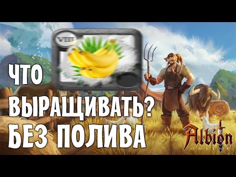 Видео: Заработок на острове! Что лучше всего выращивать на острове? Часть 2