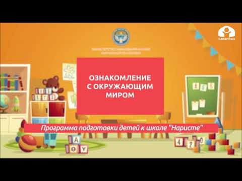 Видео: Ознакомление с окружающим миром / Для детей дошкольного возраста / 2 - 4 лет