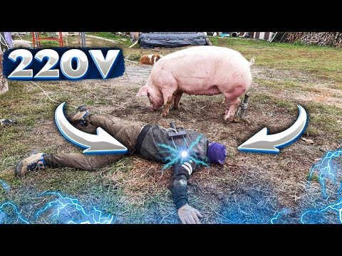 Видео: ТИХОЕ ОГЛУШЕНИЕ ТОКОМ.⚡..