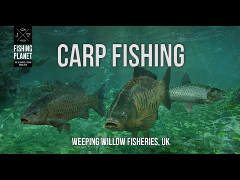 Видео: Fishing Planet  - Ловля карпа на Випинг Вилоу