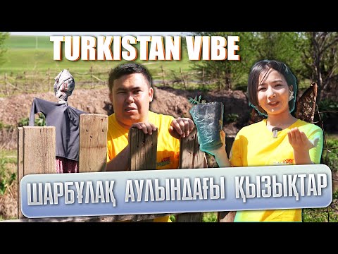 Видео: Түркістан vibe | Шарбұлақ ауылындағы қызықтар