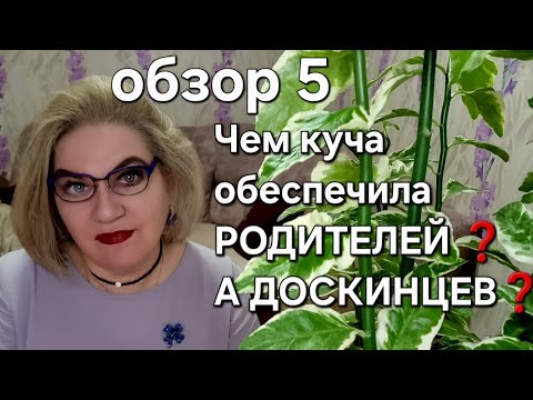 Видео: Чем куча обеспечила РОДИТЕЛЕЙ❓️А ДОСКИНЦЕВ❓️