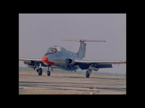 Видео: КРЫЛЬЯ