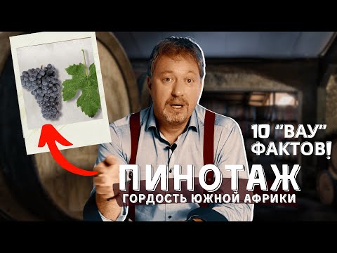 Видео: Сорт винограда [ПИНОТАЖ ] - 10 "вау" фактов