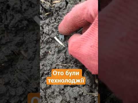 Видео: #metaldetecting #наконечник #скіфи