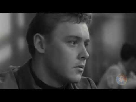 Видео: Эту песню пели в каждом дворе  "Тополя, тополя"..