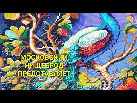 Видео: Обогащаюсь на мусорках Москвы. N  105 .