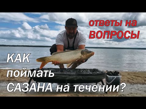 Видео: Как поймать сазана на течении. Ответы на вопросы подписчиков.