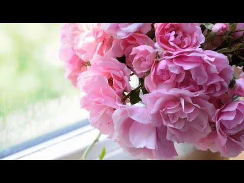 Видео: Харків вітає 11.11