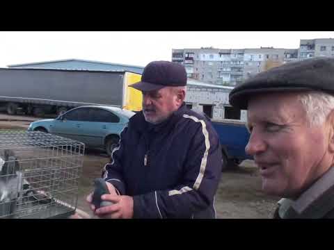 Видео: Продовження огляду ярмарку.Первомайськ