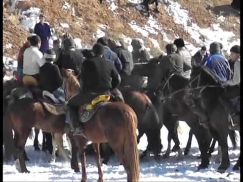 Видео: Бузкаши  Панчакент 5