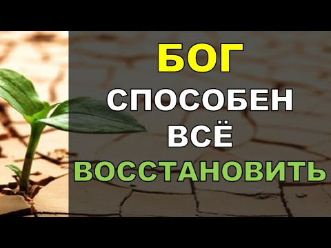 Видео: Бог способен все восстановить!  Константин Блинов