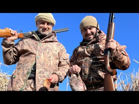 Видео: ОХОТА НА УТОК С ДРУЗЬЯМИ / Информация об охоте / Охота на Красноголового Нырка