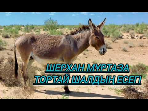 Видео: Тортай шалдың есегі (аудиокітап). Оқыған: Гүлдерай Құдияр