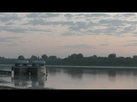 Видео: РЫБАЛКА НА СЫРДАРЬЕ | РЫБАЛКА НА САЗАНА