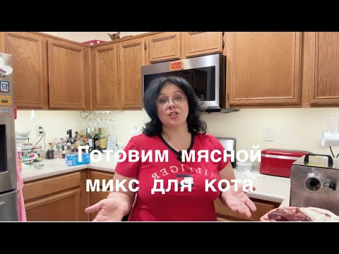 Видео: Мясной микс для котов 😻 от AbyCuties