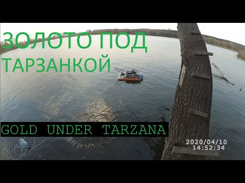 Видео: Поиск с металлоискателем в воде 2020 Search with a metal detector in water 2020