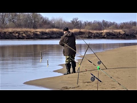 Видео: Наловил СИГОВ и ЩУК. Попался ГИГАНТСКИЙ СИГ! Рыбалка весной на реке Тунгуска