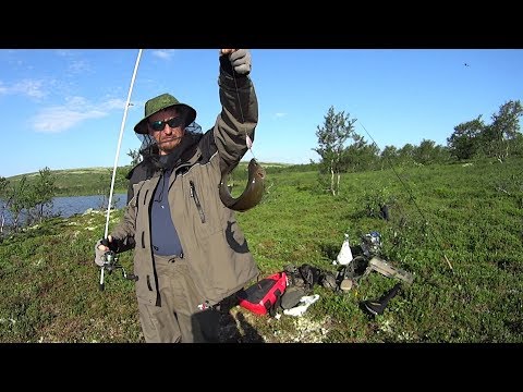 Видео: Ловля Хариуса на Кольском полуострове.
