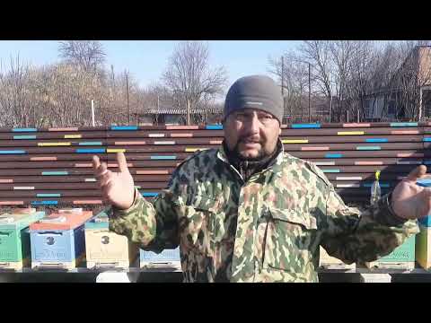 Видео: Итоги Изоляции Маток 2022!!!