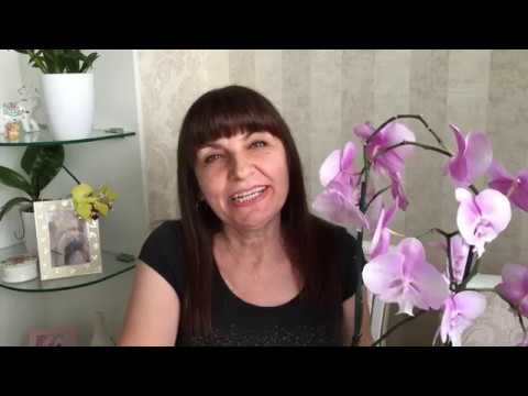 Видео: Дендрофаленопсис цветёт, значит мой уход ему понравился) и видео от подписчиков))))