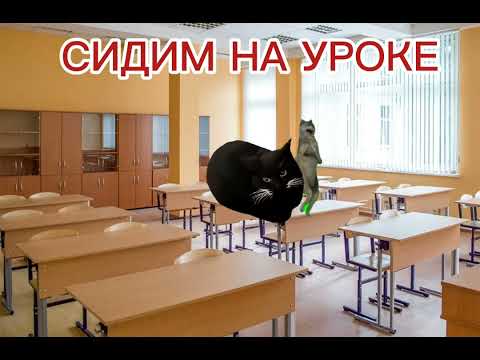 Видео: POV:Мой день