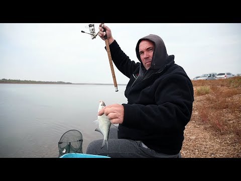 Видео: Платики на фидер - част 1 / Feeder fishing for bream - part 1